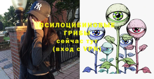 сатива Баксан