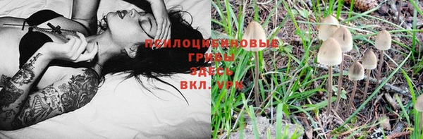 mdpv Балабаново