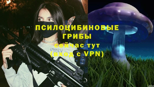 прущие грибы Наволоки