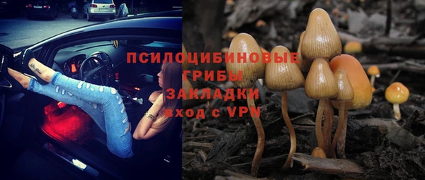 соль ск Пересвет