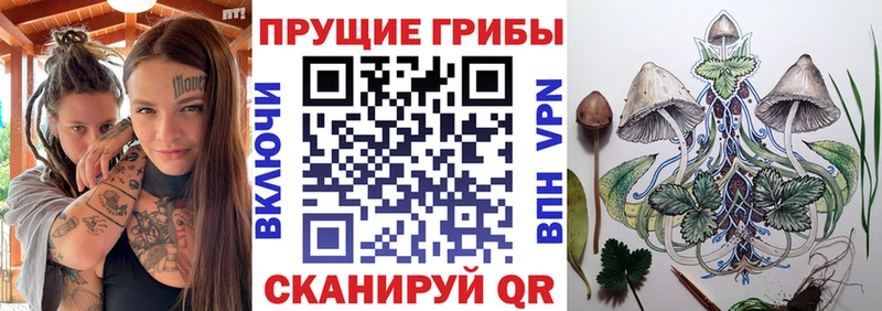 Галлюциногенные грибы Cubensis  продажа наркотиков  Заречный 